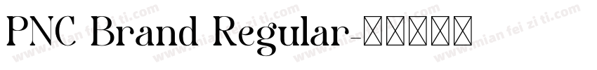 PNC Brand Regular字体转换